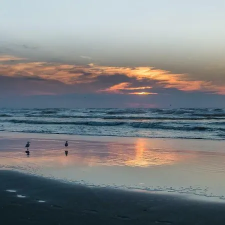 酒店 Prado Next Door 3*