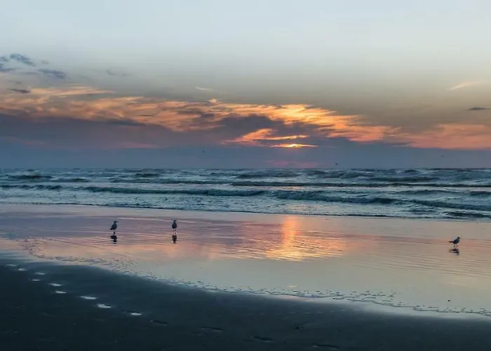 호텔 Prado Next Door 3*